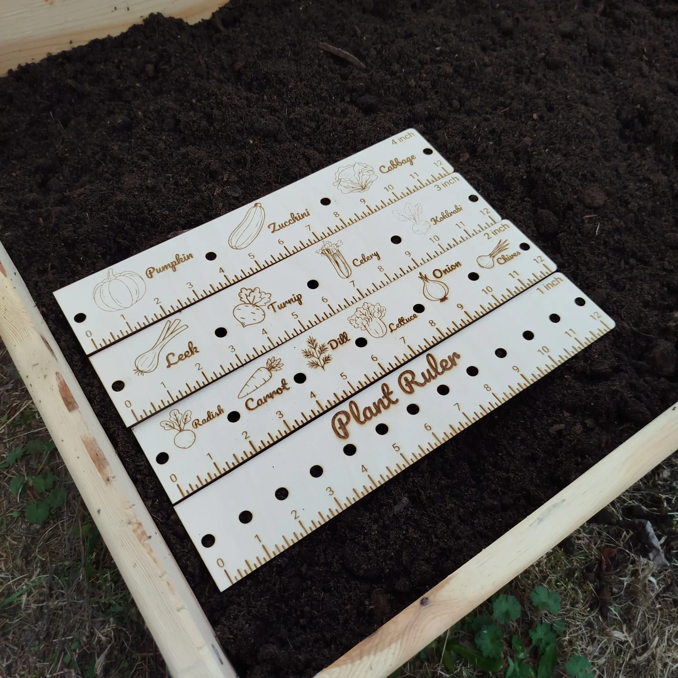Person sowing seeds in soil using a laser cut garden planting ruler as a spacing guide