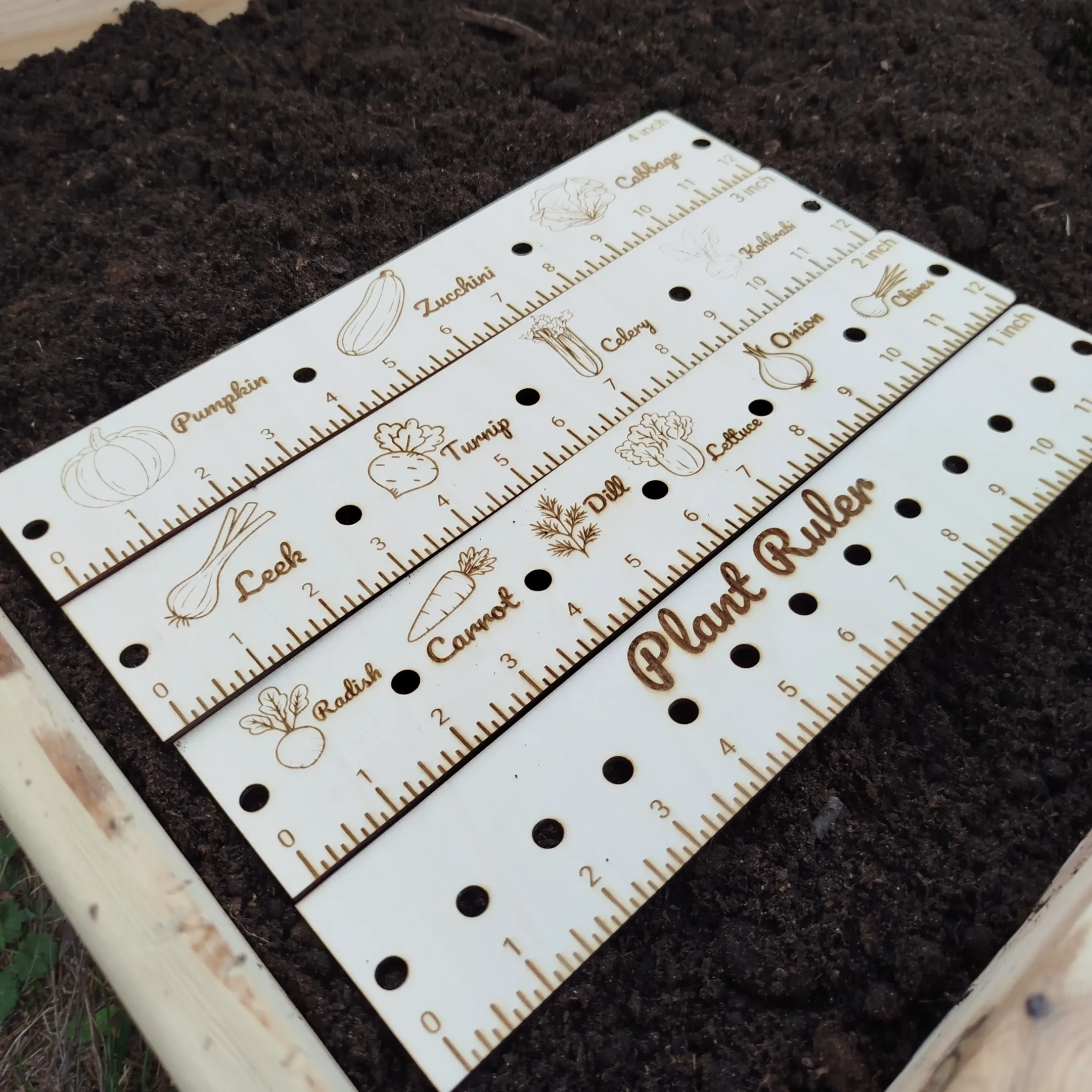 Laser cut garden planting rulers laid out on soil, prepared for seed sowing