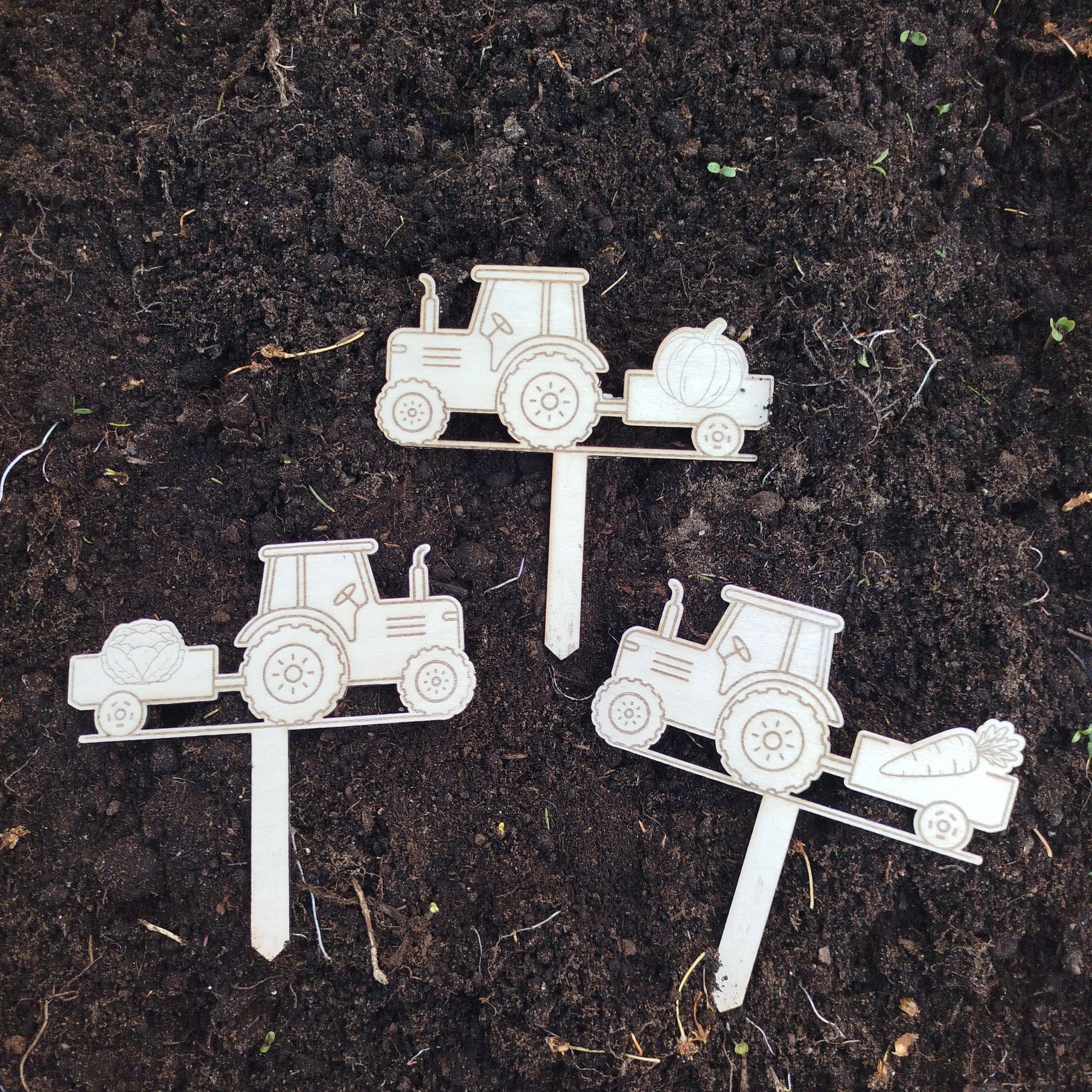 Thumbnail showing laser cut plant markers shaped like tractors with engraved vegetable symbols