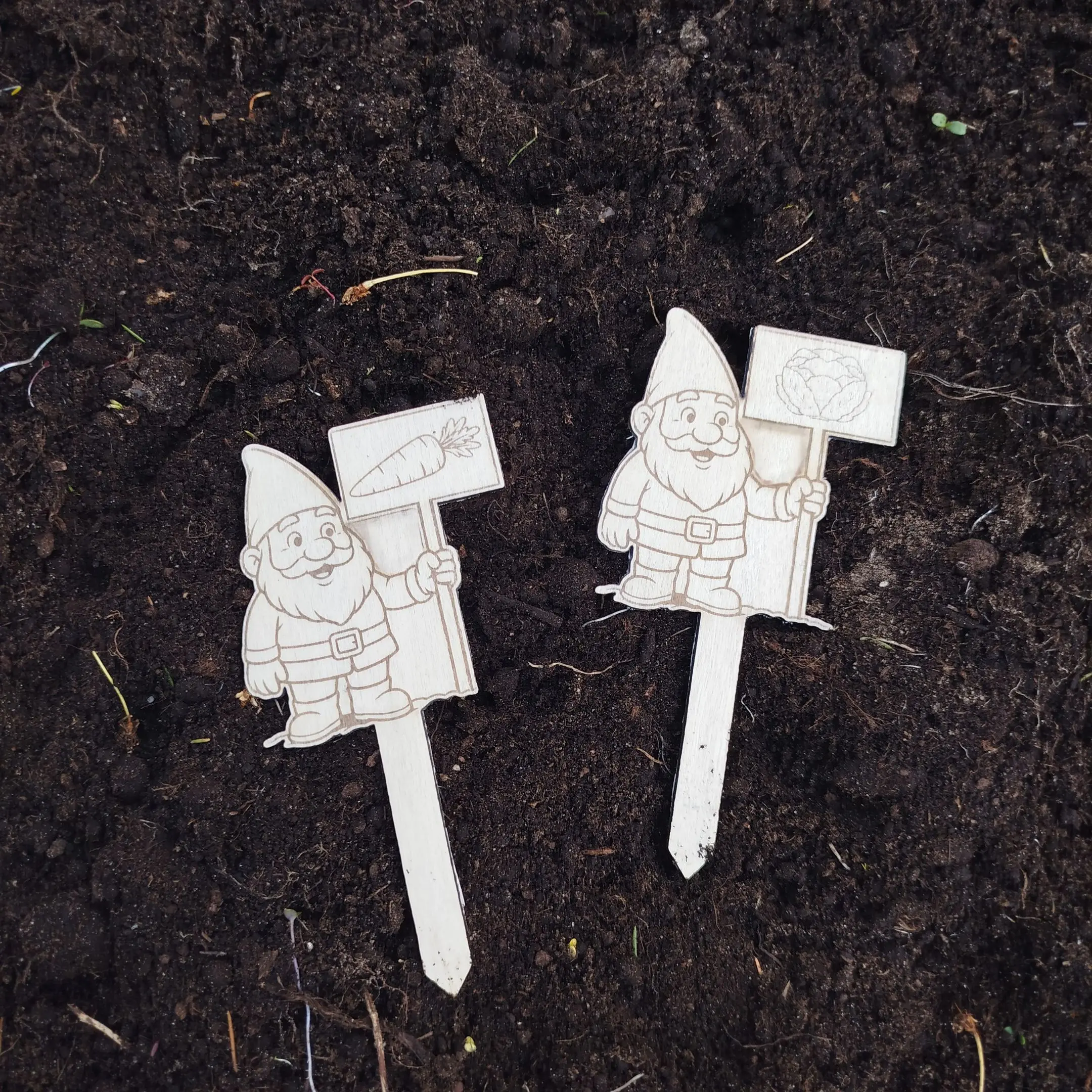 Thumbnail showing laser cut wooden plant markers shaped like gnomes holding vegetable signs