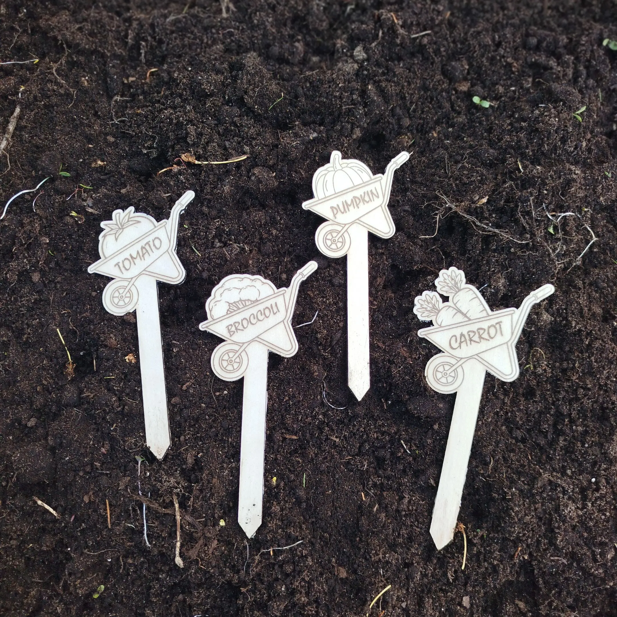 Thumbnail showing laser cut plant markers shaped like wheelbarrows with engraved vegetable icons