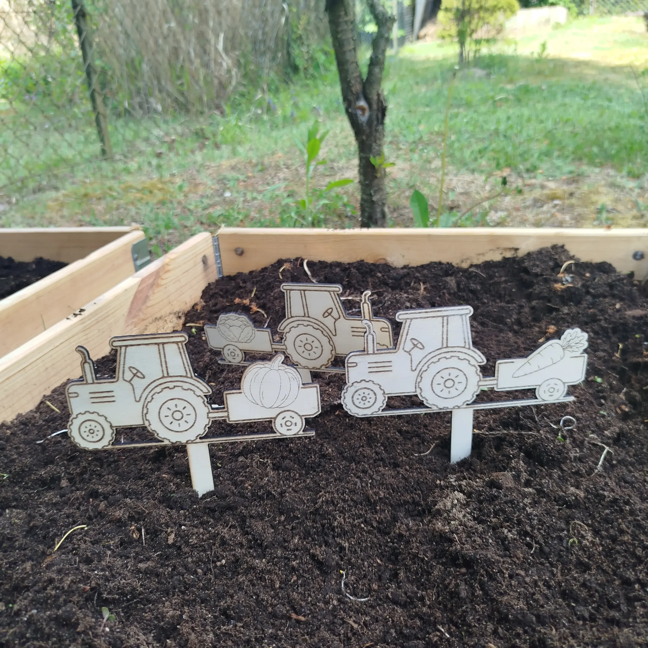 Laser cut wooden plant markers shaped like tractors, inserted into garden soil with engraved vegetable icons