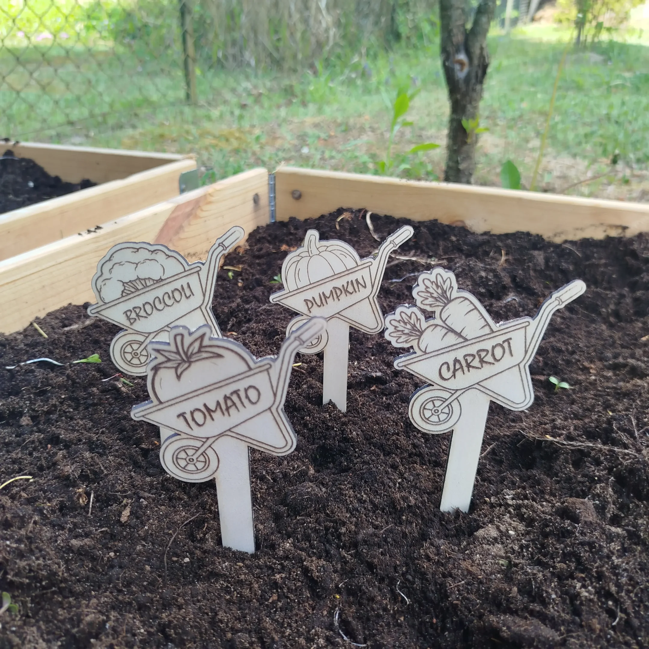 Close arrangement of laser cut wheelbarrow-shaped plant markers with vegetable engravings placed in garden soil