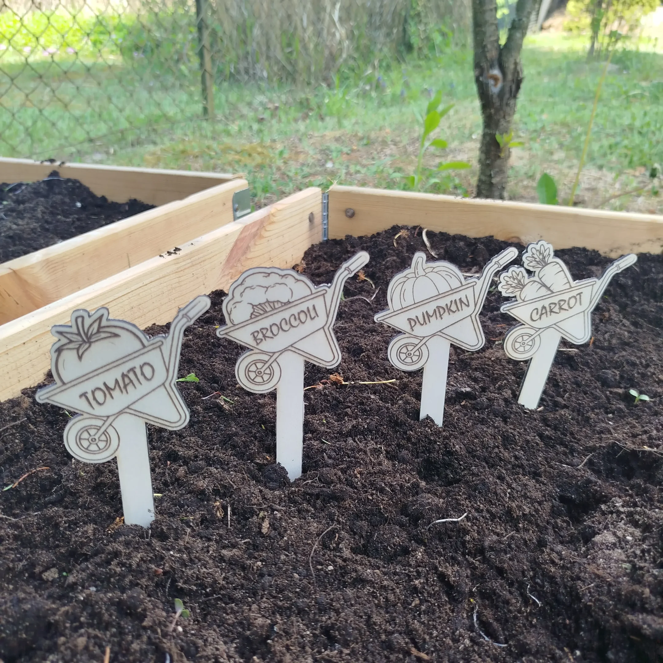 Laser cut wooden plant markers shaped like wheelbarrows, inserted into garden soil with vegetable engravings