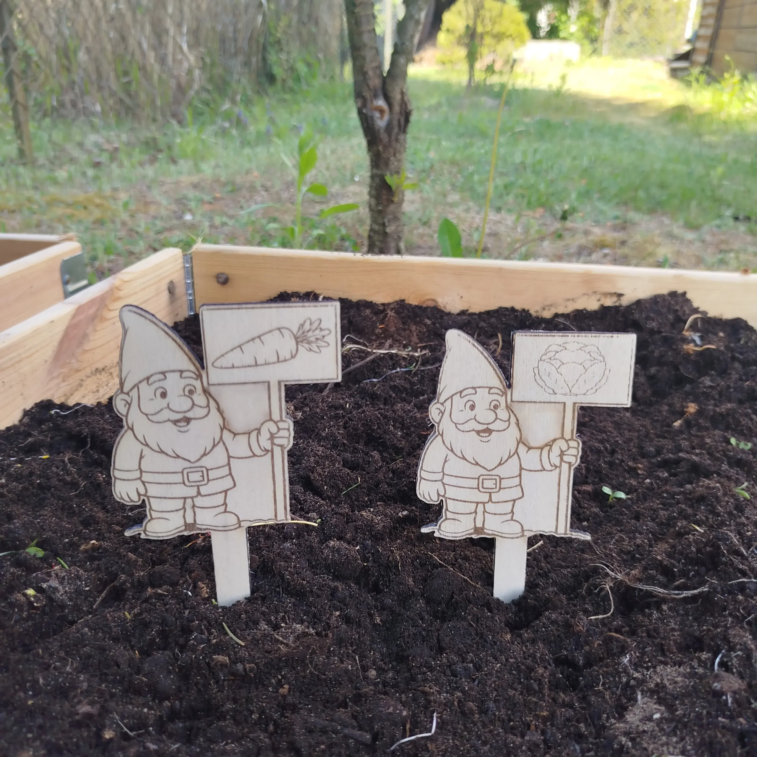 Two gnome-shaped laser cut plant markers inserted into soil, each holding a vegetable sign
